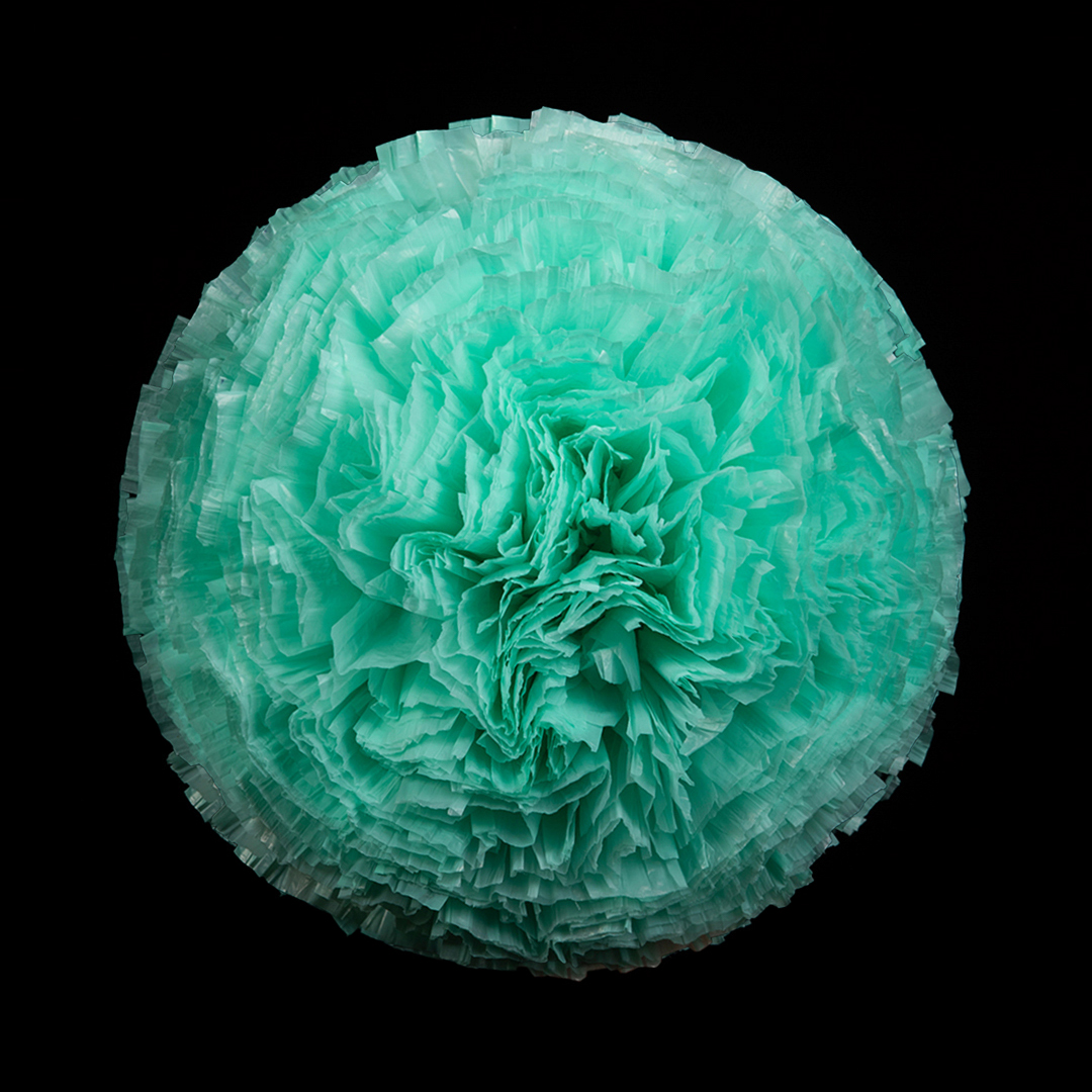 Teal (16)
